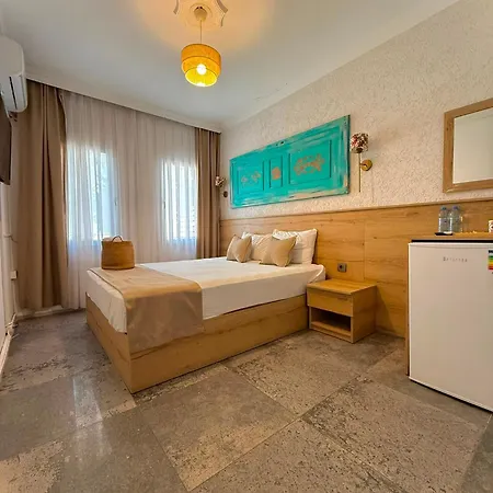 Privat bolig Merkez